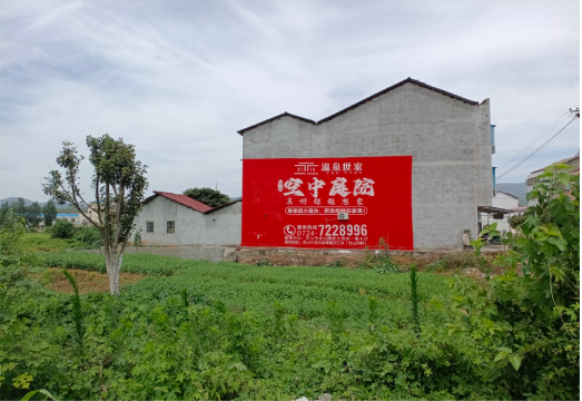  郎溪做墙体广告的意义