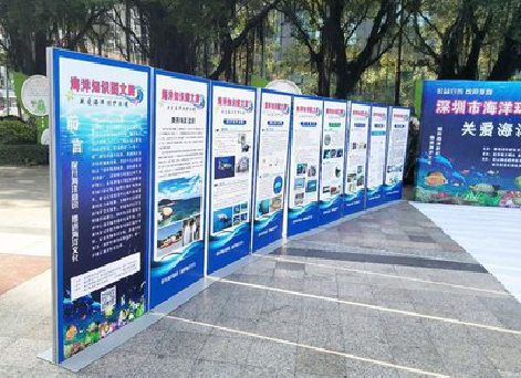  郎溪KT板的种类和知识。